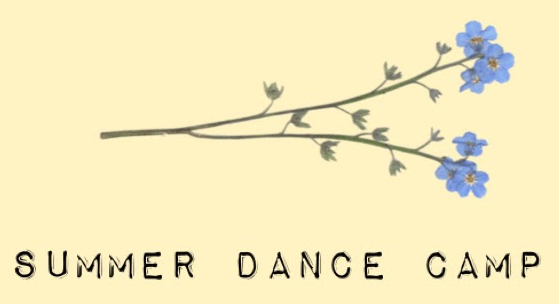 Summer Dance Camp 2024 TSC Magdeburg